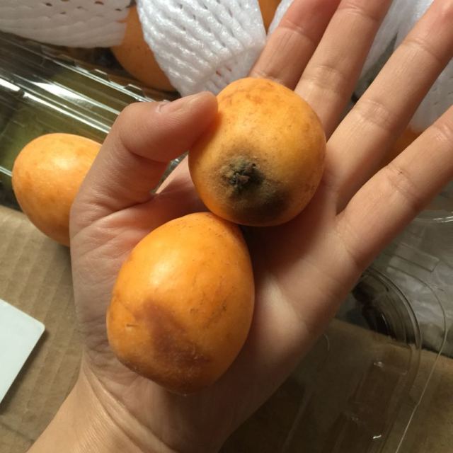 苏宁生鲜展卉云南蒙自枇杷9个装单果约2226g新鲜水果