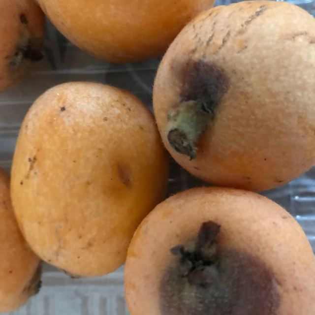 苏宁生鲜展卉云南蒙自枇杷9个装单果约2226g新鲜水果