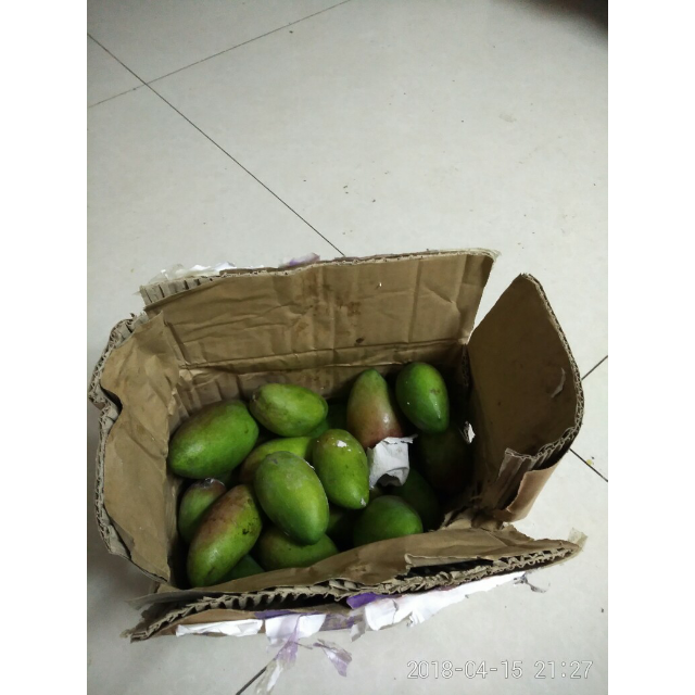 > 【中华特色】株洲馆 开泰小贵妃芒5斤装 新鲜现摘热带水果芒果kt