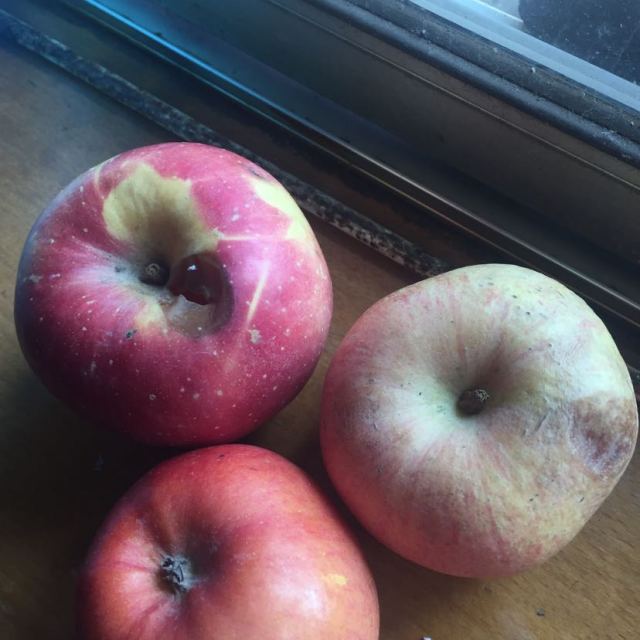 嘉食和 陕西红富士苹果【优选中果】12枚 果径70-80mm 脆甜苹果 陕西