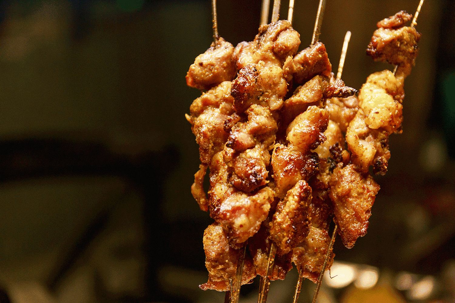 阿勒穆斯 内蒙古草原好味道户外烧烤羊肉串20串 草原羊肉 真空包装