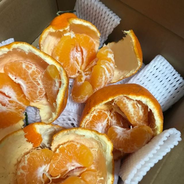 【中华特色馆】大雅品味【春见耙耙柑 】新鲜水果现采现摘果园直发3斤