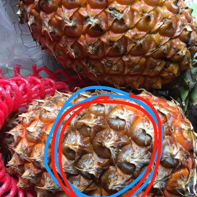 > 【苏宁生鲜】海南金钻凤梨1个约1kg/个 菠萝 新鲜水果 国产商品评价