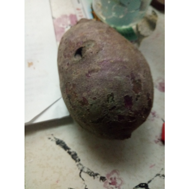 紫薯坏了的照片图片