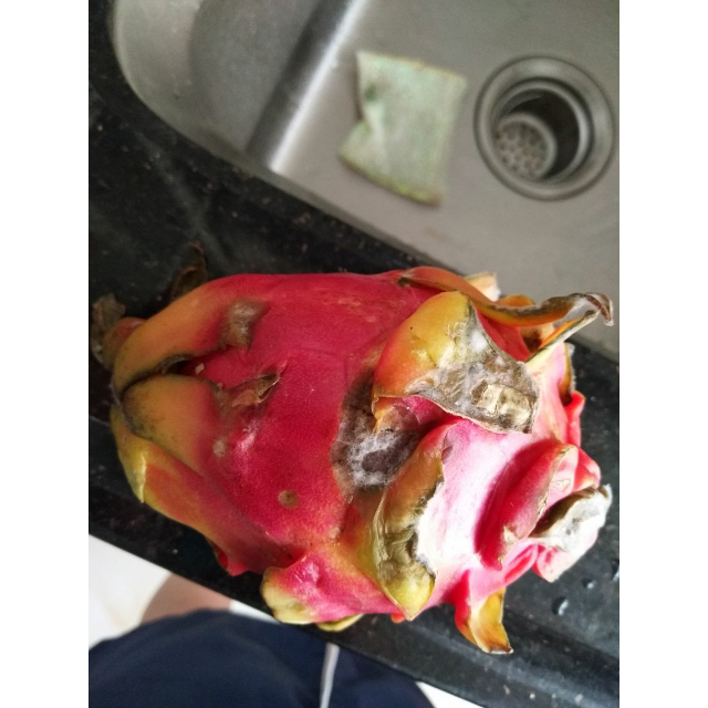 5斤 新鲜热带水果 进口生鲜食品红心紫心火龙果商品评价 > 长毛了