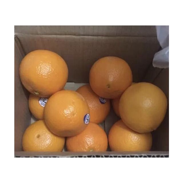 > 【苏宁生鲜】新奇士美国脐橙10个200g以上/个 橙子 新鲜水果 进口