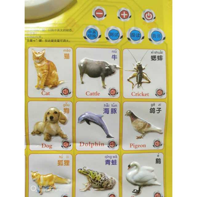 乐乐鱼 3张组合装有声语音挂图 乐乐鱼发声挂图 ,让宝宝在游戏中慢慢