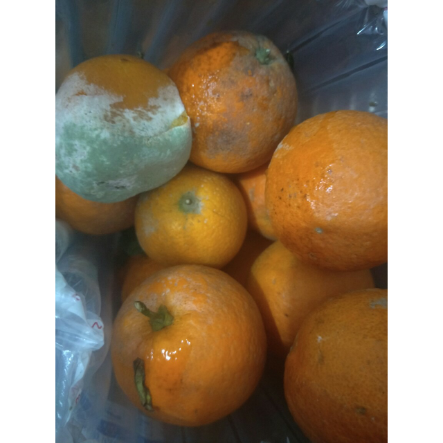 > 【领券减10元】米又 农家伦晚脐橙 5斤装商品评价 > 这水果还能吃吗