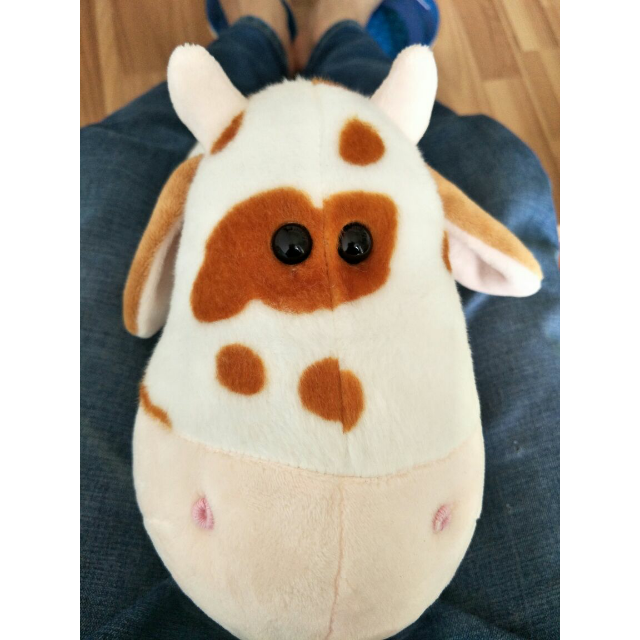 怡多贝evtto正版小牛牛宝宝卡通毛绒公仔儿童布娃娃玩具生日礼物女生