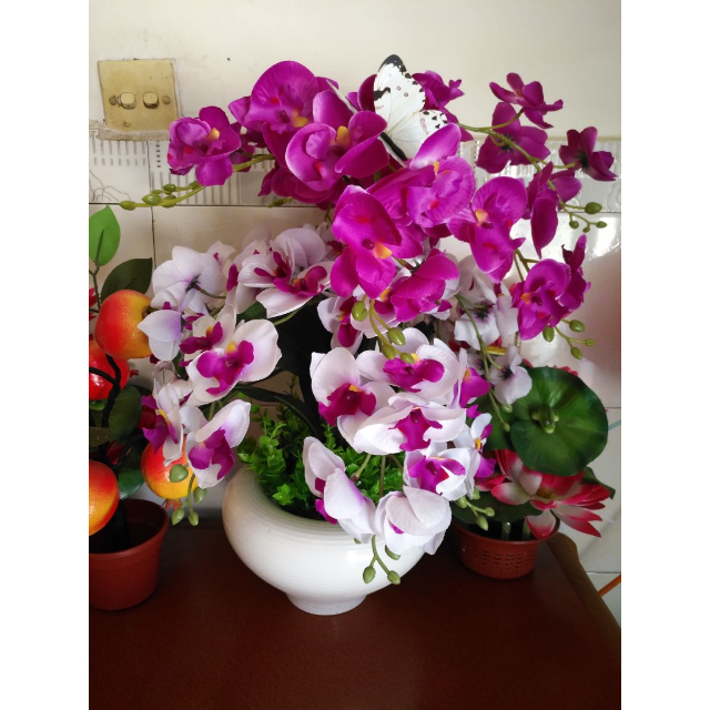 假花盆栽盆景花卉创意家居装饰品-高腰鸿运当头兰花高清大图|实物图