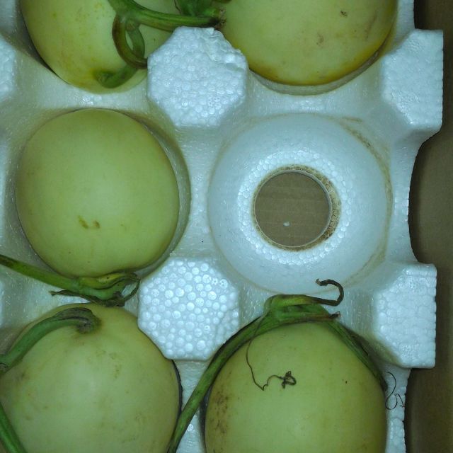 > 【中华特色】武汉馆 阎良甜瓜5斤装(4-6个)新鲜香蜜瓜当季水果商品