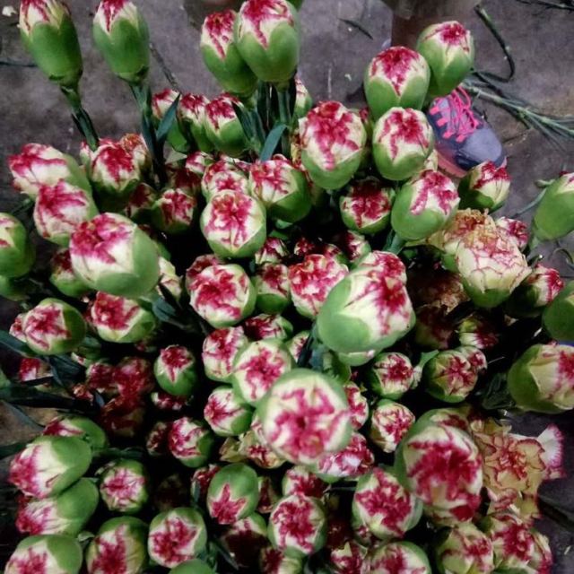 【三只松鼠 碧根果120g】零食 每日坚果特产山核桃长寿果碧更果