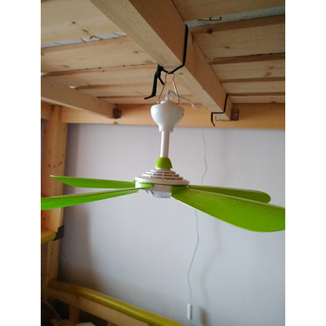 zolee中联小吊扇fg1242迷你机械版微风扇静音5叶电扇学生床上小风扇