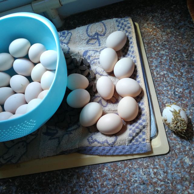 > 【武汉馆】散养土鸡蛋 30枚装宝宝辅食 正宗农家