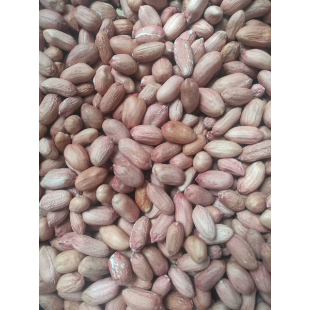 中华特色兰考馆萧美人新生花生米1500g杂粮手工剥皮农家自种花生仁