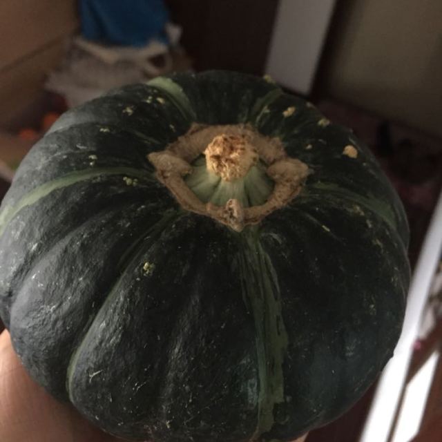 中华特色山东馆鲁青扶贫贝贝南瓜25斤新鲜迷你蔬菜宝宝辅食南瓜华东