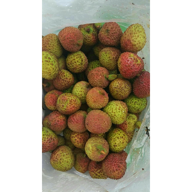 中华特色海口馆恩多果顺丰空运海南火山荔枝王45斤装盒装国产冷藏国产