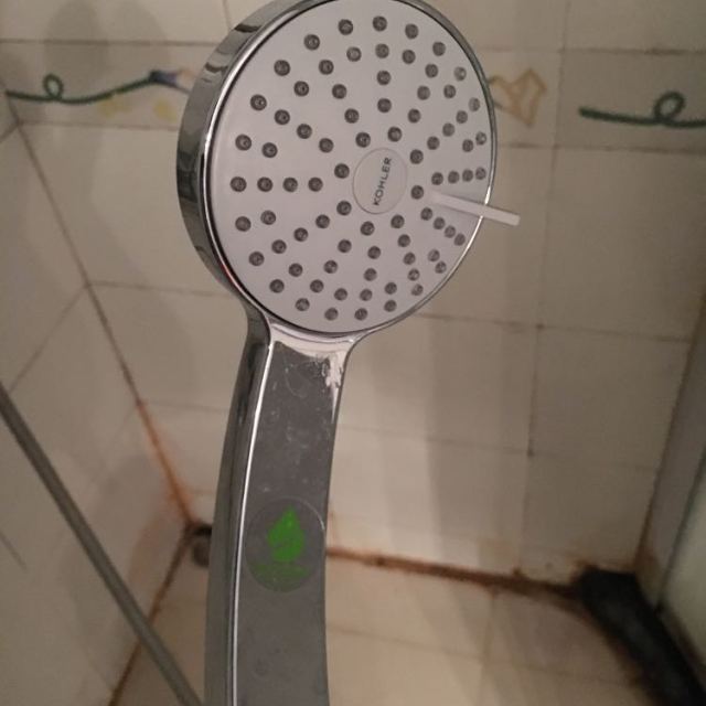 【预售两周发货】科勒淋浴花洒喷头增压手持莲蓬头家用热水器淋雨套装