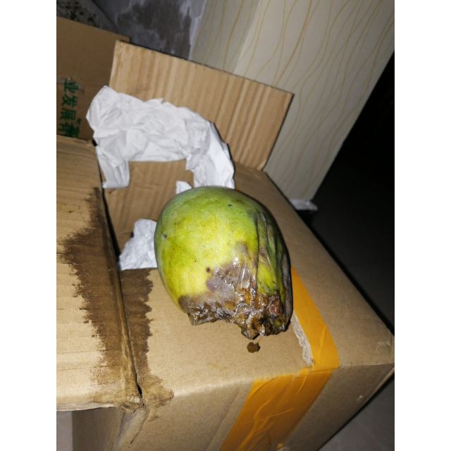 【中华特色】宝鸡馆 青芒大芒果 新鲜水果芒果5斤西北