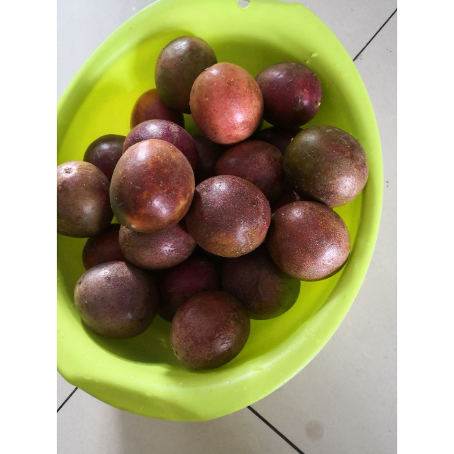 誉福园新鲜水果百香果精品果中果3斤现摘现发洋石榴紫果西番莲百香果