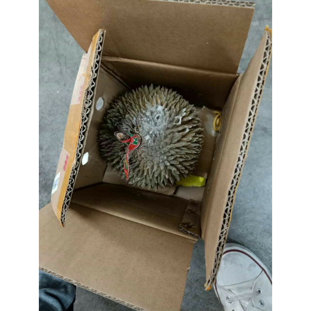 榴莲23斤个托曼尼猫山王金枕头甲仑干尧随机发货新鲜水果