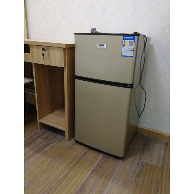北极熊(beijixiong) 双门迷你小冰箱 家用两门小型电冰箱 冷藏冷冻