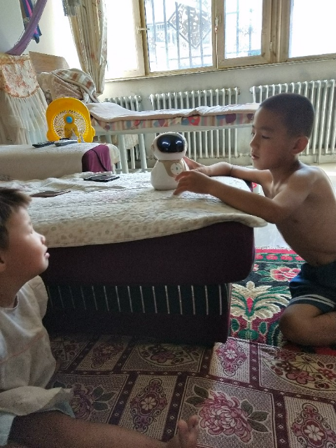 人工智能和机器人评价