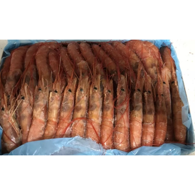 蓝雪冷冻去头船冻阿根廷红虾1825只500g袋装海鲜水产