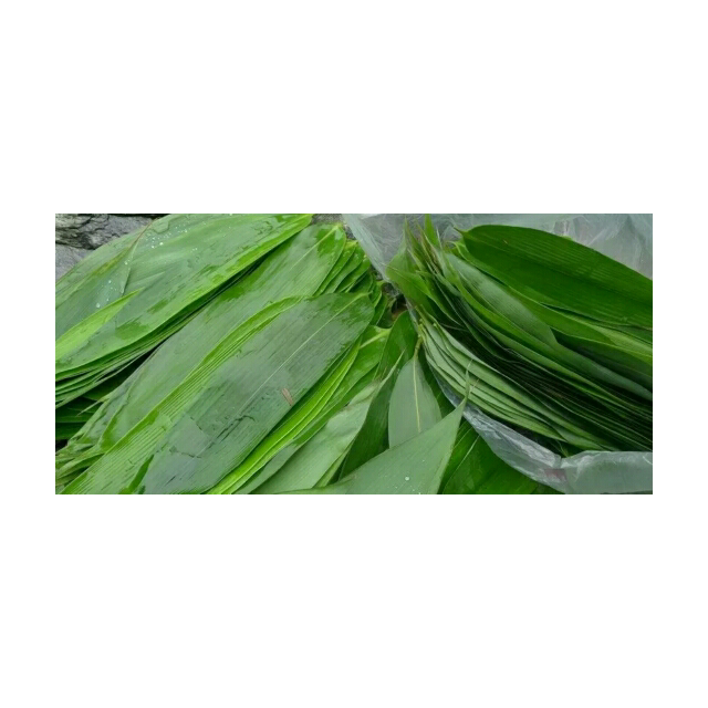 农谷鲜 新鲜粽子叶50片*2 大粽子叶长36cm宽9cm 端午节手工包粽子粽叶