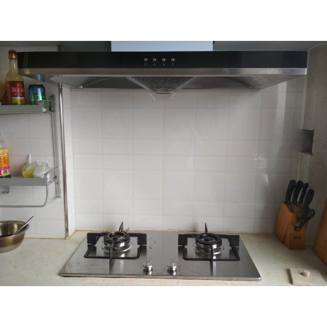 帅康sacon抽油烟机两件套油烟机烟灶套餐17立方te670935g厨卫电器欧式