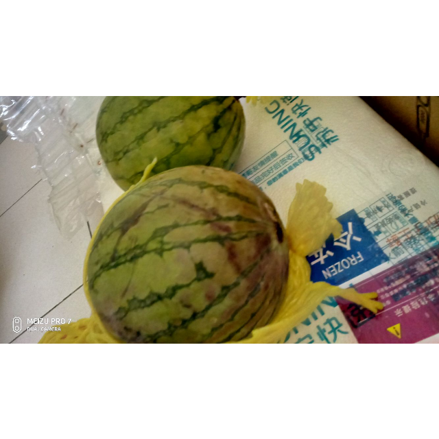 黄瓤西瓜坏果图片图片