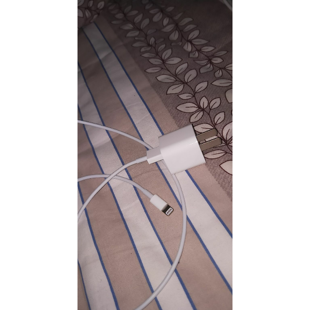 apple苹果原装充电器iphonex/7plus/8sx 6 插头max充电头5w 正品线充