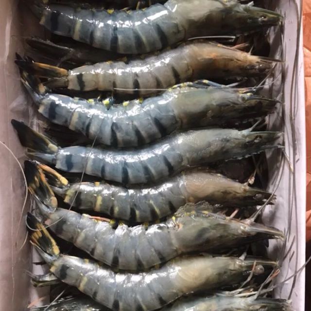 简单滋味越南生冻黑虎虾400g1620只进口草虾海鲜水产