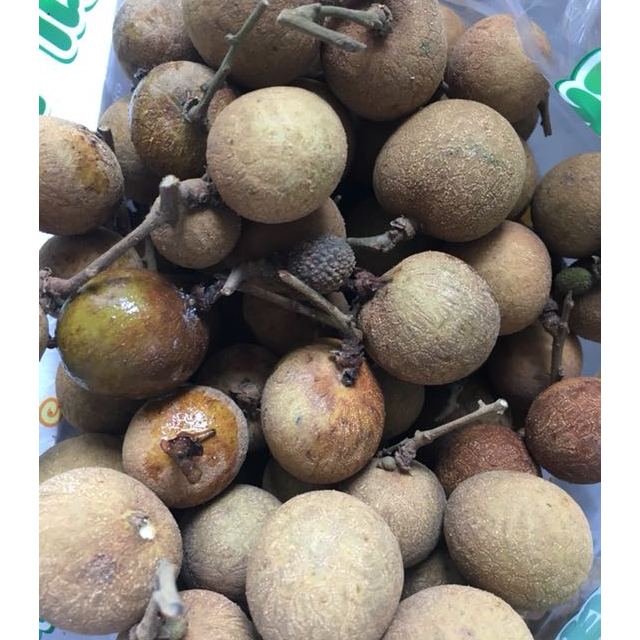 两件起售广东茂名桂圆龙眼25斤盒现摘空运新鲜当季水果生鲜水果盒装