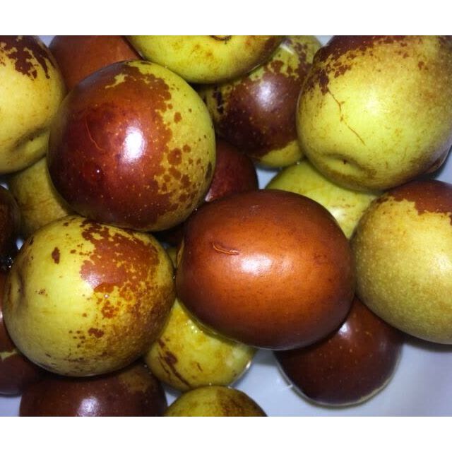 佳艾果缘沾化冬枣5斤装箱装单果约12g金丝枣红枣新鲜枣子产地直发冷藏