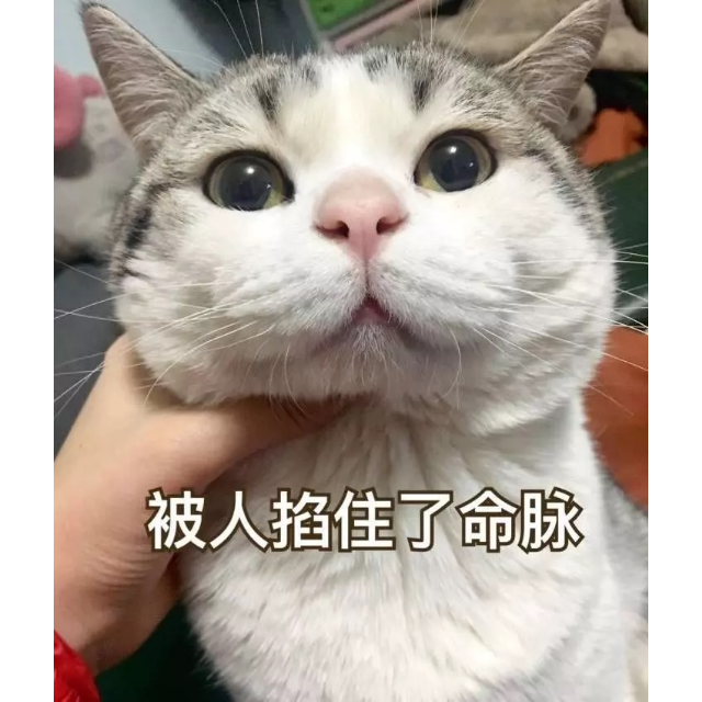 美的(midea)电磁炉 c21-wt2133 红色丝印时尚电火锅