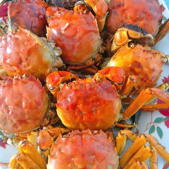 全母10只装阳澄湖大闸蟹全母10只2326两两鲜活现货公母螃蟹包邮肉多肉