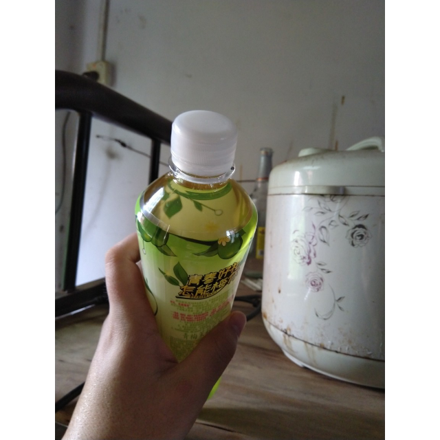 達利園青梅味茉莉花茶飲料500ml15瓶箱裝飲料