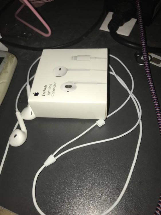 苹果(apple)iphonex 7 7plus 8 8plus ipad原装耳塞耳机 lightning