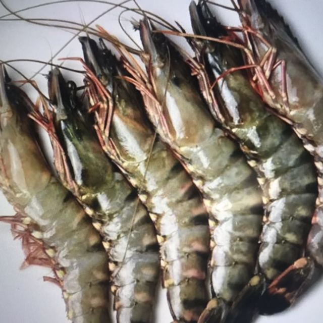 简单滋味越南生冻黑虎虾400g1620只进口草虾海鲜水产