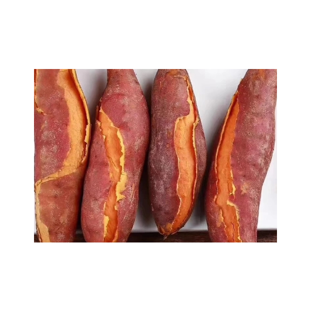 【中华特色】武汉馆 板栗薯9斤新鲜小番薯小红薯红薯地瓜 华中根茎类