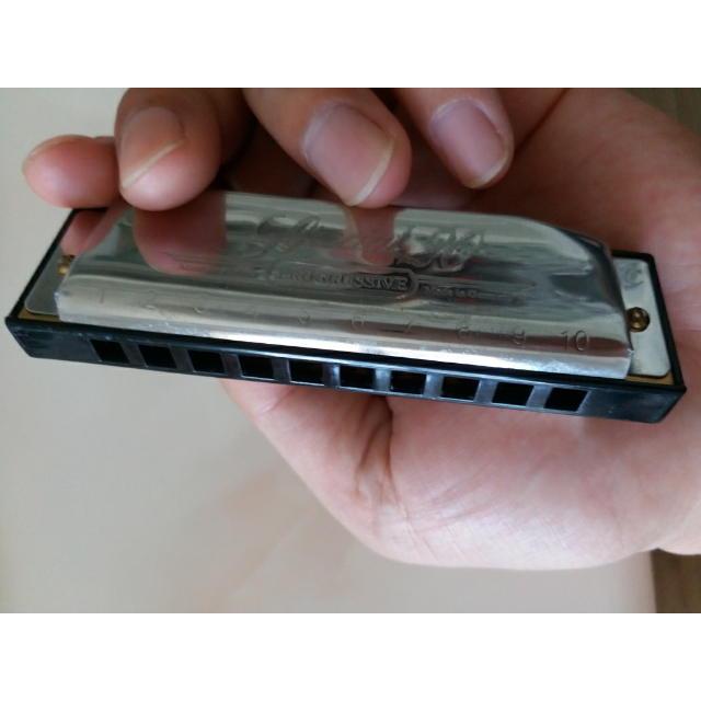 > 和莱hohner sp20 德国原装 专业演奏级10孔布鲁斯口琴 560 c调-常用