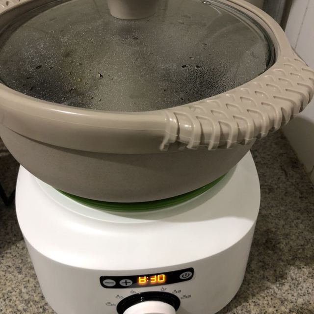 飞利浦(philips)蒸汽锅醇汤煲hr2210 多功能电炖煲汤锅 养生炖锅