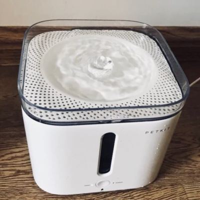 小佩petkit宠物猫狗智能饮水机滤芯 2片装1盒