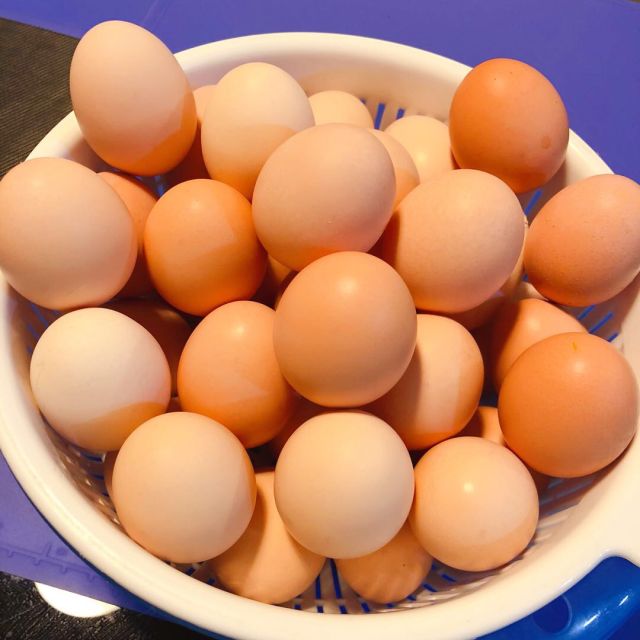 蛋小白 40枚鸡蛋农家散养新鲜 天然正宗鸡蛋野外鸡蛋40枚高清大图