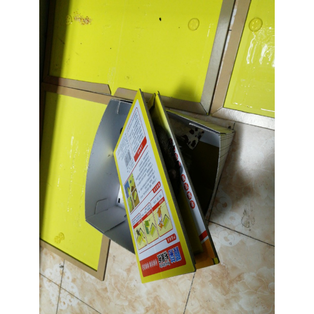 榄菊 粘鼠板老鼠贴 灭鼠板捕鼠器 老鼠夹物理捕捉吱吱板 5板装 强力