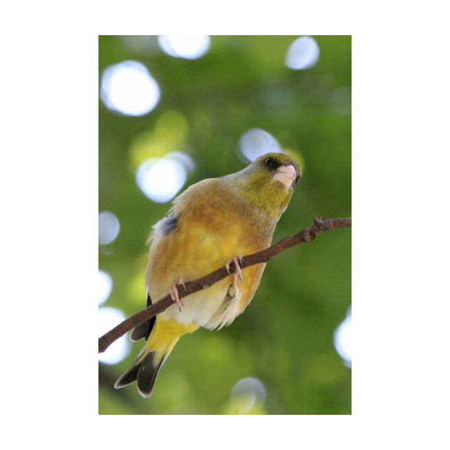 佳能(canon) legria hf r86 数码摄像机 便携高清摄像机 手持dv/家用