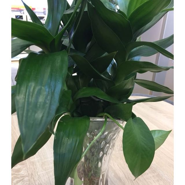 海尔(haier)bcd-541wdpj 541升大空间容量 变频无霜