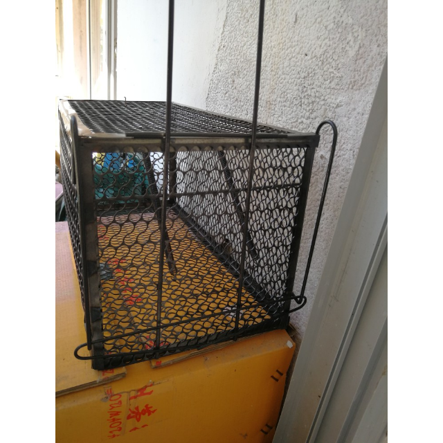 捕黄鼠狼笼大号捕鼠笼捕松鼠笼捕猫笼抓猫器买就送粘鼠板