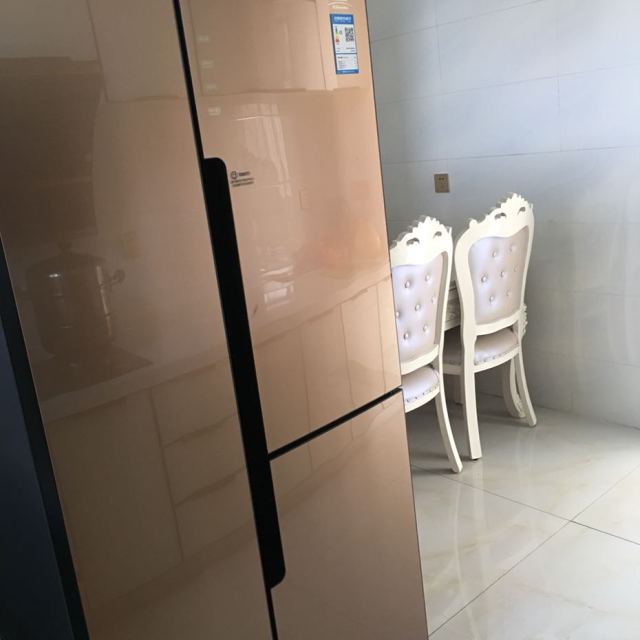 扎努西·伊莱克斯冰箱zse4082yga 408升t型多门冰箱 风冷变频 电脑